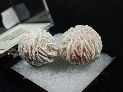 Desert Rose Selenite from Mexico. Crystal. Gypsum. Thumbnail mineral specimen.