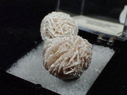 Desert Rose Selenite from Mexico. Crystal. Gypsum. Thumbnail mineral specimen.
