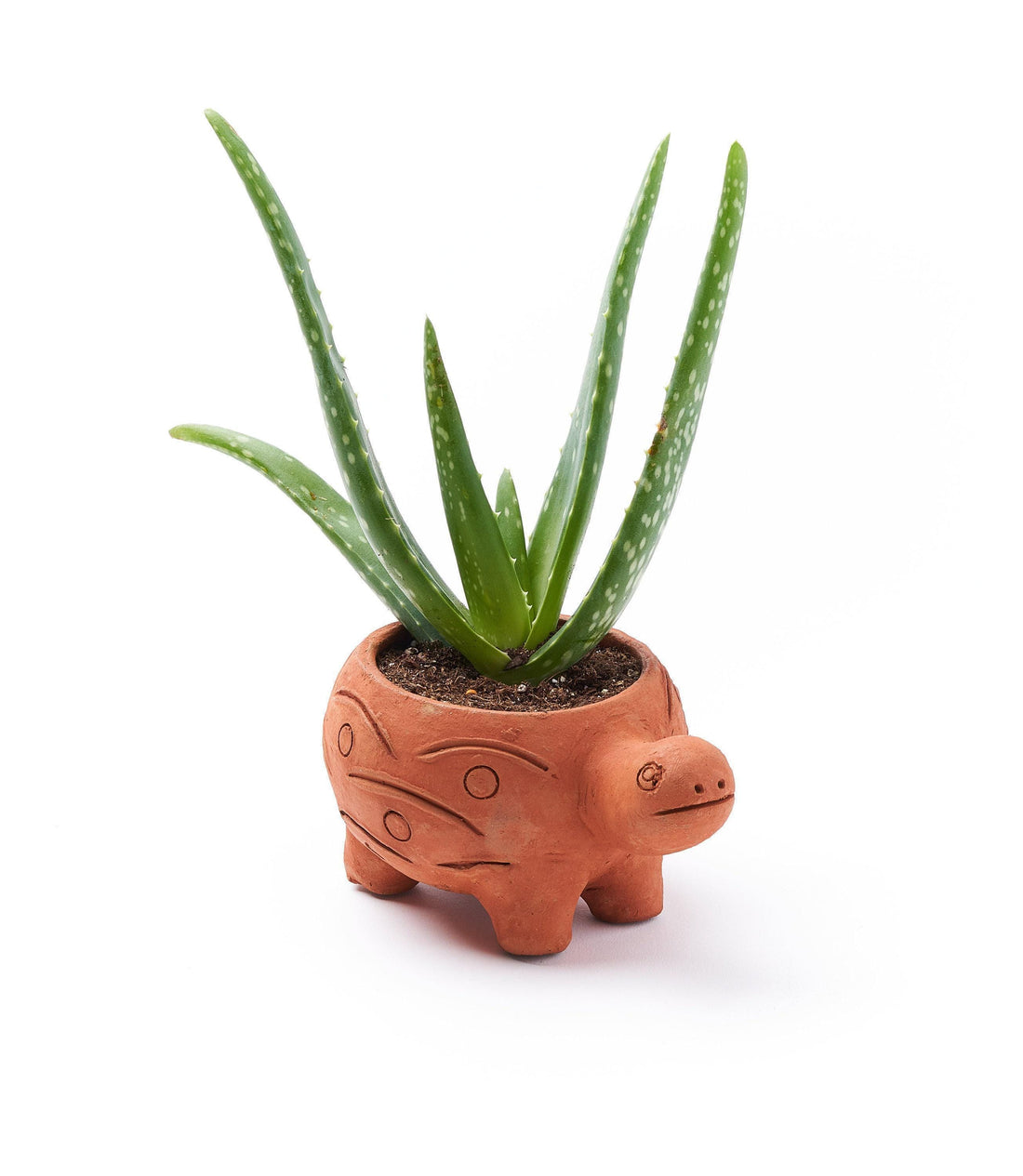 Turtle Planter, Terracotta Pot Planter, Animal Pot, Garden Planter Pot, Planter With Drainage, Handmade Planter, Clay Pot, Ceramic Planter