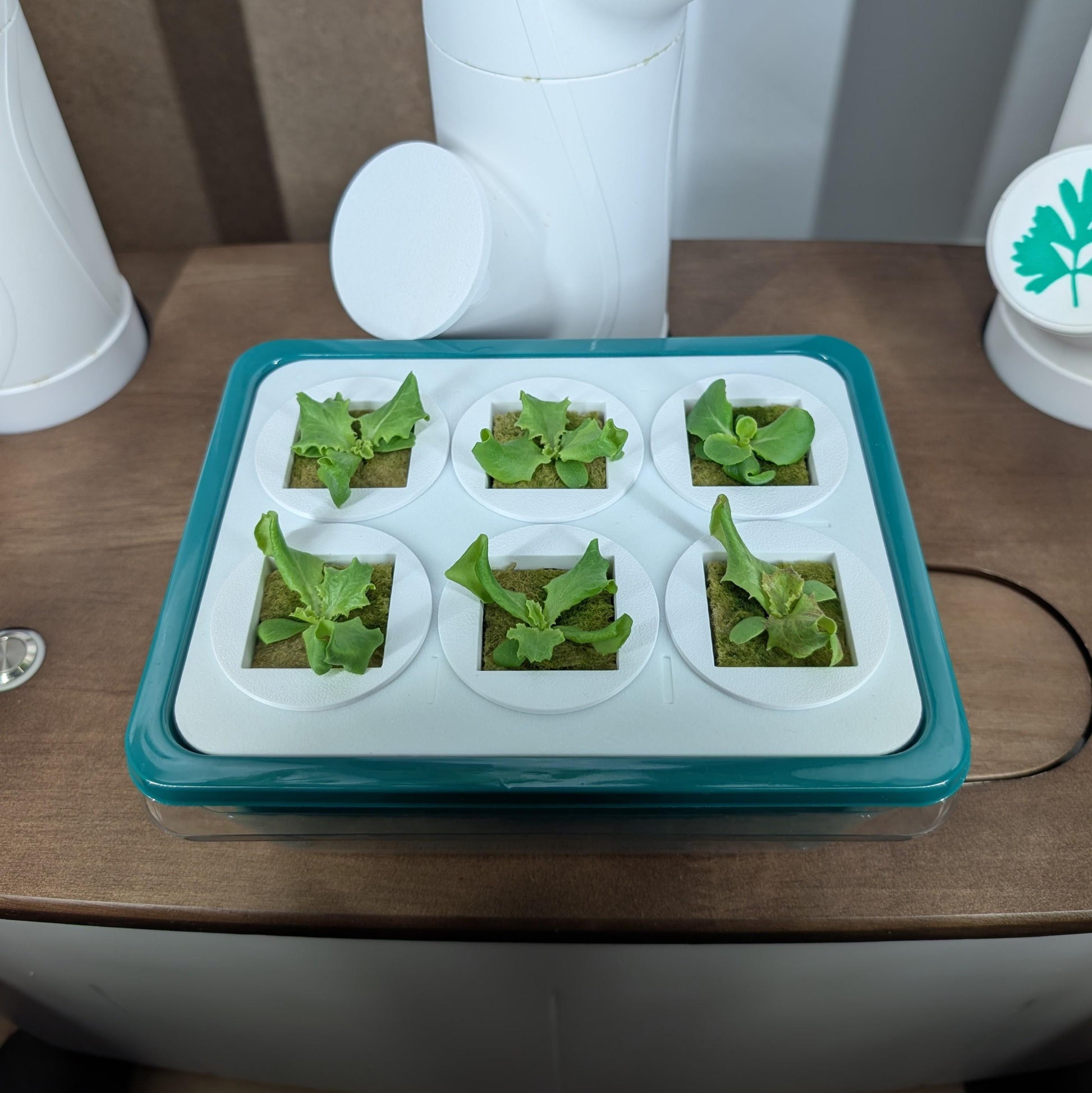 Compatible Gardyn - High-Efficiency Indoor Garden Nursery, works with yCubes and Grow Cubes