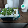 Compatible Gardyn - High-Efficiency Indoor Garden Nursery, works with yCubes and Grow Cubes